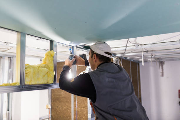 Best Insulation Maintenance and Repair in Columbia, MS