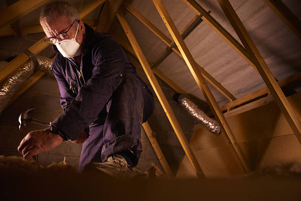 Best Commercial Insulation in Columbia, MS