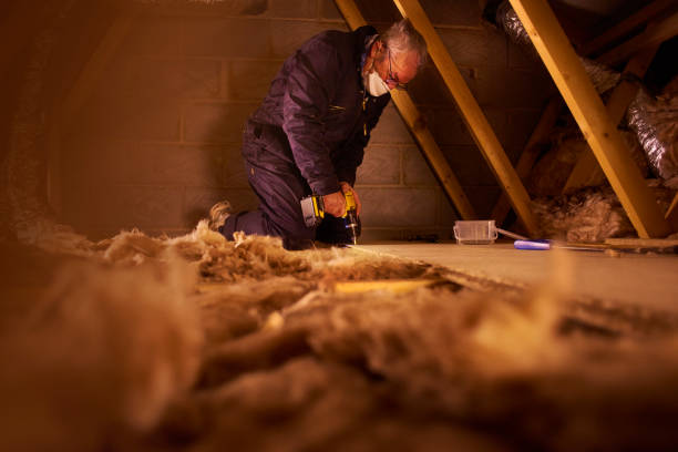 Types of Insulation We Offer in Columbia, MS